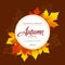 Autumn seasonal banner design. Fall leaf. Vector illustration