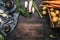 Autumn seasonal cooking ingredients with harvest vegetables, greens , Potatoes and mushrooms on dark rustic wooden background, to