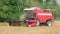 Autumn seasonal harvest of soybean harvesting in a field against a background of green trees close-up.