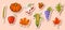 Autumn Seasonal Icons Signs Collection Isolated on Beige