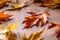 Autumn. Seasonal photo. Autumn leaves loose on a wooden board