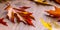 Autumn. Seasonal photo. Autumn leaves loose on a wooden board