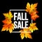 Autumn seasonal sale banner design. Fall leaf. Vector illustration