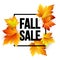 Autumn seasonal sale banner design. Fall leaf. Vector illustration