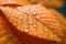 Autumn serenity raindrops gracefully adorning an orange leaf close up