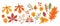 Autumn set. Multicolored and differently shaped leaves, branches and berries on a white background. For autumn design