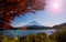 Autumn at Shojiko lake