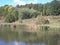 Autumn shore of a small lake