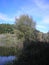 Autumn shore of a small lake