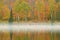 Autumn Shoreline Alberta Lake