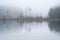 Autumn Shoreline Scout Lake in Fog