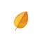 Autumn shrub rose leaf vector icon cartoon foliage