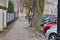 Autumn sidewalk, wall and cars standing on a foggy autumn day. Autumn