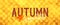 Autumn sign with checkered yellow and brown country background and orange maple leaf and cursive handwriting typography that says