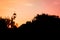 Autumn Silhouette: Lantern Amidst Colorful Sunset Sky