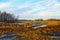 Autumn sketches on Horicon Marsh, Wisconsin