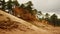 Autumn Sky: Sand Dunes And Woods In Dark Beige And Light Amber