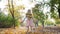 Autumn, small girl in backlight outdoors throws yellow leaves in slow motion at park