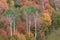 Autumn in Snake River Canyon Idaho