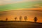 Autumn South Moravian landscape with five trees and rolling waving hills. Wavy fields in Czech Republic. Czech Tuscany.