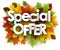 Autumn special offer background with leaves.