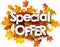 Autumn special offer background with leaves.