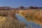 Autumn splendor in New Mexico