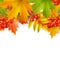 Autumn square background or border, autumn leaves and berries