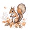 autumn squirrel graphics on white background in boho style