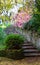 Autumn Steps in Port Sunlight