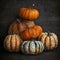 Autumn still life. Beautiful pumpkin.