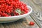 Autumn still life with bunches of viburnum. Fresh juicy ripe viburnum berries in a white plate on wooden background. Selective foc