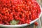 Autumn still life with bunches of viburnum. Fresh juicy ripe viburnum berries in a white plate on wooden background. Selective foc