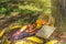 Autumn still life with checkered plaid, wicker basket, apples, pumpkin and old book. Romantic autumn picnic lunch outdoors.