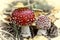 Autumn still life. Closeup of fly agarics.