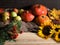 Autumn Still Life. In crop pumpkins, apples, sunflowers, branches with berries of mountain ash and ears of wheat