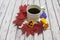 Autumn still life. Cup of coffee, maple leaves and flowers on light wood background