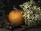 Autumn still life detail. Small decorated pumpkin, squash with dried hydrangea flowers, ivy and nuts. Light painting.