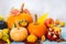 Autumn still life with edible and ornamental pumpkins and gourds, grapes, apple and pomegranate