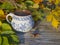 Autumn still life, hot smoking tea in rustic white blue painted ceramic cup with colorful autumn colored leaves, beech and maple t