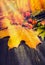 Autumn still life with leaves, wild hips and pumpkin on rustic wooden background