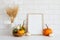 Autumn still life. Photo frame template, decorative pumpkins, vase of dry wheat on white table. Scandinavian room interior