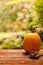 Autumn still life with pumpkin and ears of wheat on wooden table on a natural background