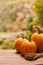 Autumn still life with pumpkin and ears of wheat on a wooden table on natural background