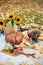 Autumn still life with pumpkin, figs and sunflowers. Picnic in yellow leaves