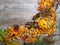 Autumn still life with a pumpkin, mushrooms, chestnuts, red berries, pine needles, cones and fallen leaves