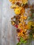 Autumn still life with a pumpkin, mushrooms, chestnuts, red berries, pine needles, cones and fallen leaves