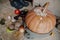 Autumn still life. Pumpkin and vegetables front door