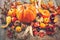 Autumn still life with pumpkins, corn cobs and berries