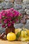 Autumn Still life with squash